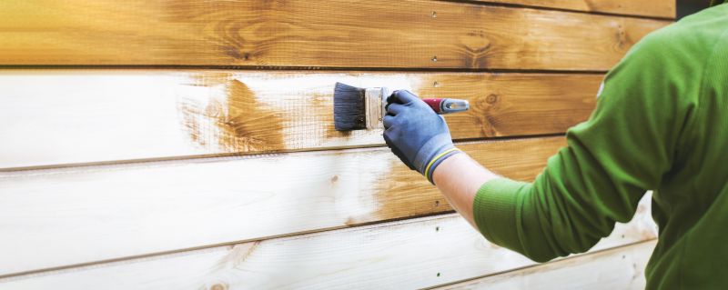 House Siding Painting in Fort Collins, CO